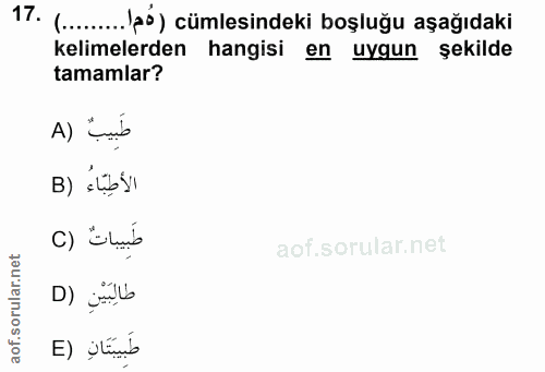 Soru 17
