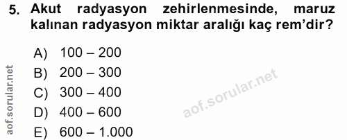 Soru 5