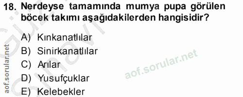 Soru 18