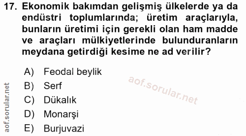 Soru 17