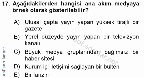 Soru 17
