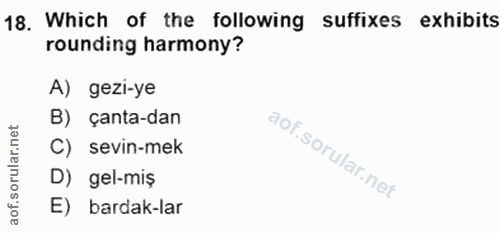 Soru 18