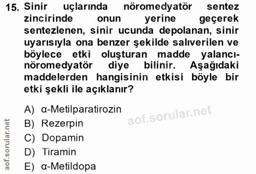 Soru 15