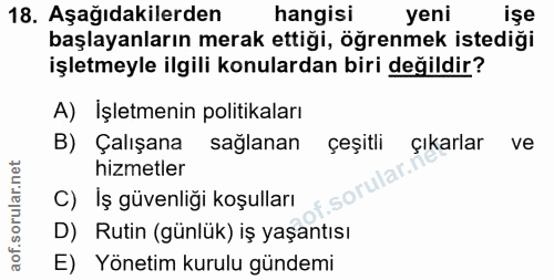 Soru 18