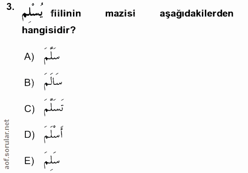 Soru 3