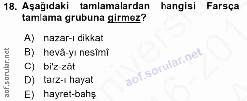 Soru 18