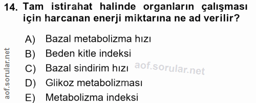 Soru 14
