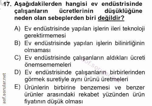 Soru 17