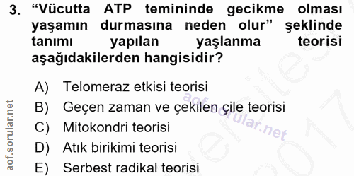 Soru 3