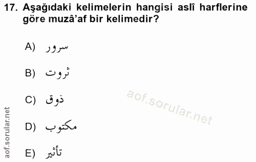 Soru 17