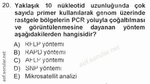 Soru 20