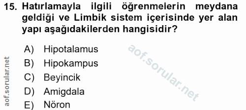 Soru 15