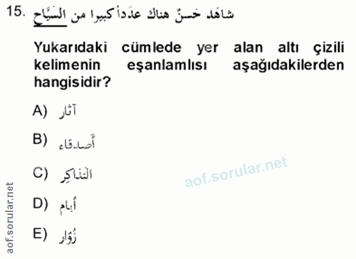 Soru 15