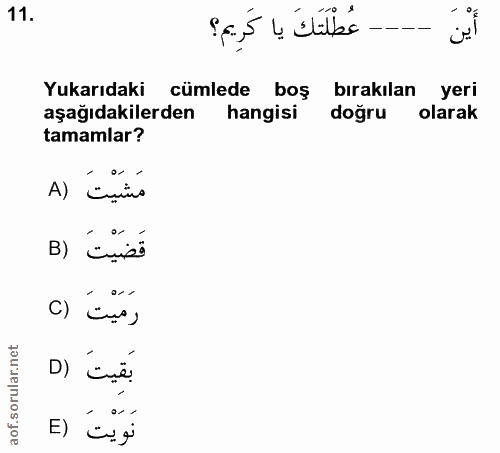 Soru 11