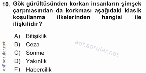Soru 10