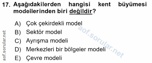 Soru 17