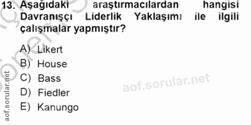 Soru 13