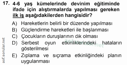 Soru 17