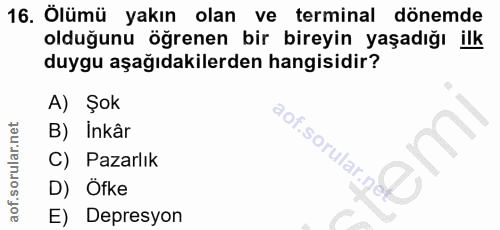Soru 16