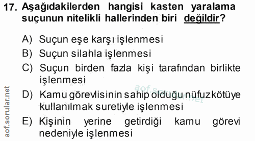 Soru 17