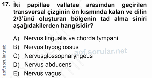 Soru 17