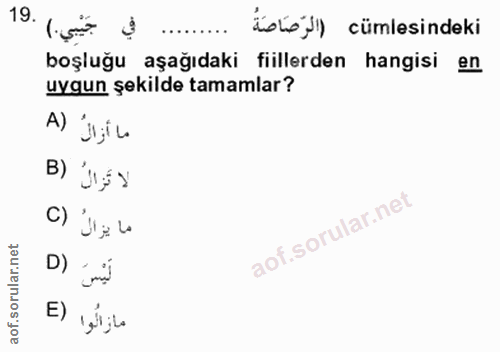 Soru 19
