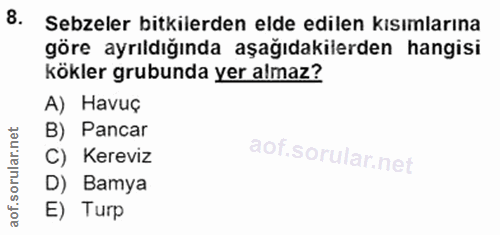 Soru 8