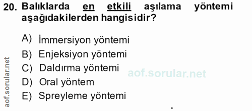 Soru 20