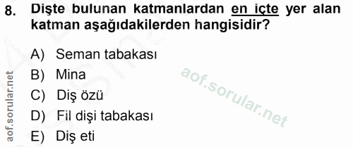Soru 8