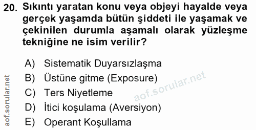 Soru 20