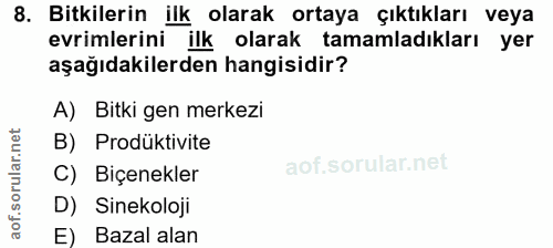 Soru 8