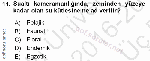 Soru 11