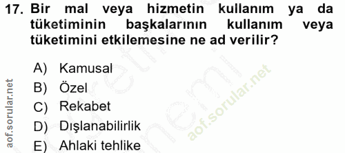 Soru 17