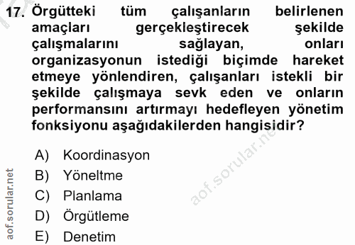 Soru 17