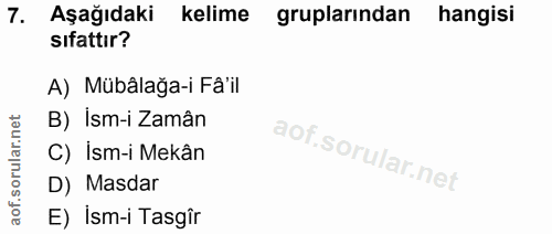 Soru 7