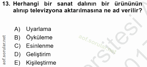 Soru 13