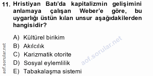 Soru 11