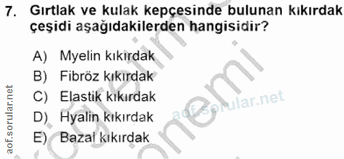 Soru 7