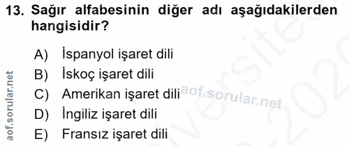 Soru 13