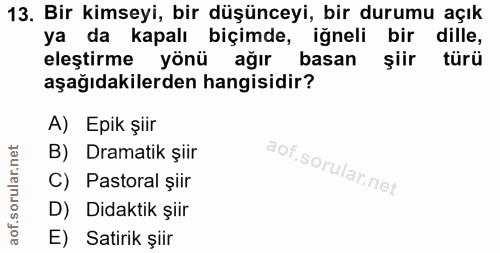 Soru 13