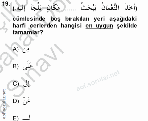 Soru 19