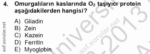 Soru 4