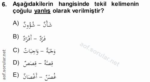 Soru 6