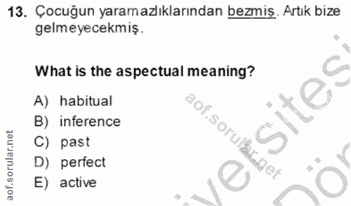 Soru 13
