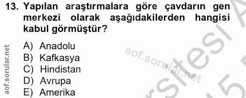 Soru 13
