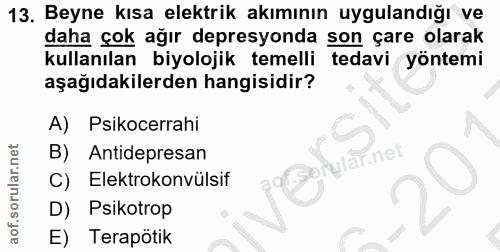 Soru 13