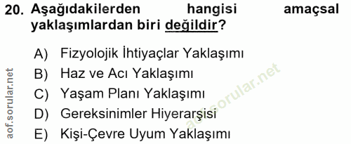 Soru 20