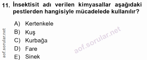 Soru 11