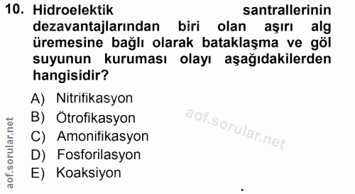 Soru 10