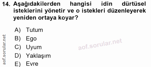 Soru 14